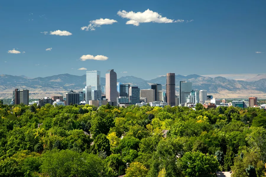 Denver's skyline with trees in the foreground and the Rocky Mountains in the background in Colorado, USA