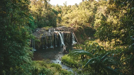 Tchupala Falls in Australia