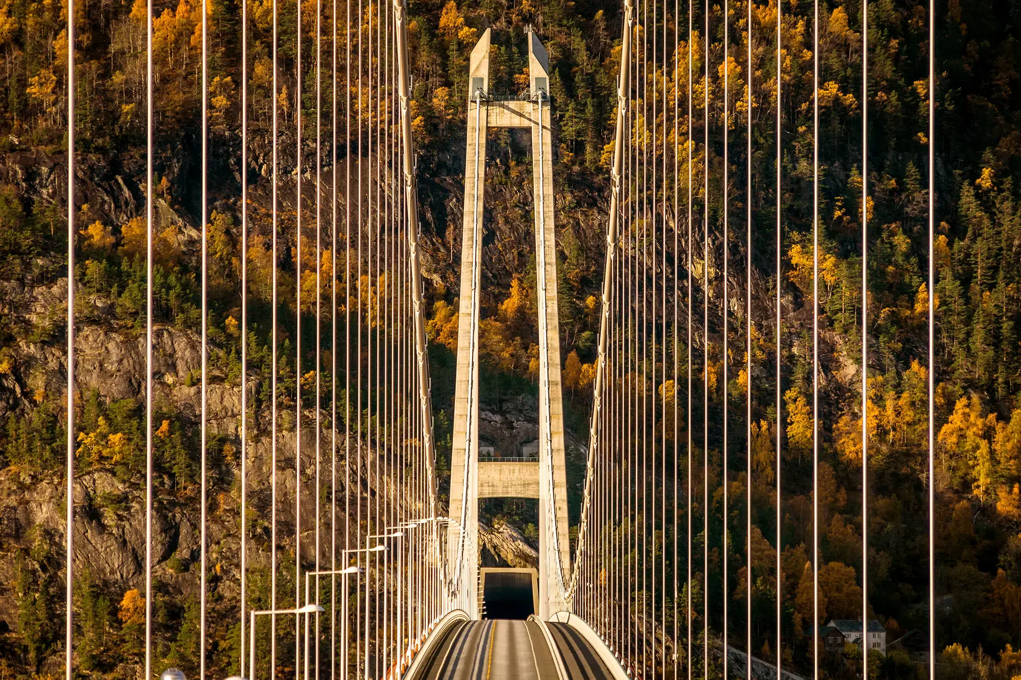 day-hero-hardanger-bridgehardangerfjord-norway-rtd.webp