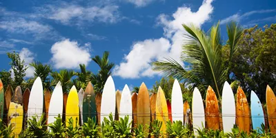 Best of Hawaii Guided Tour