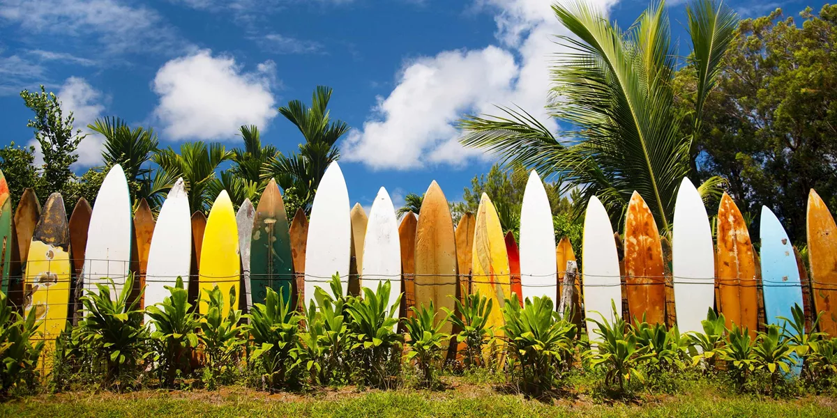 Best of Hawaii Guided Tour