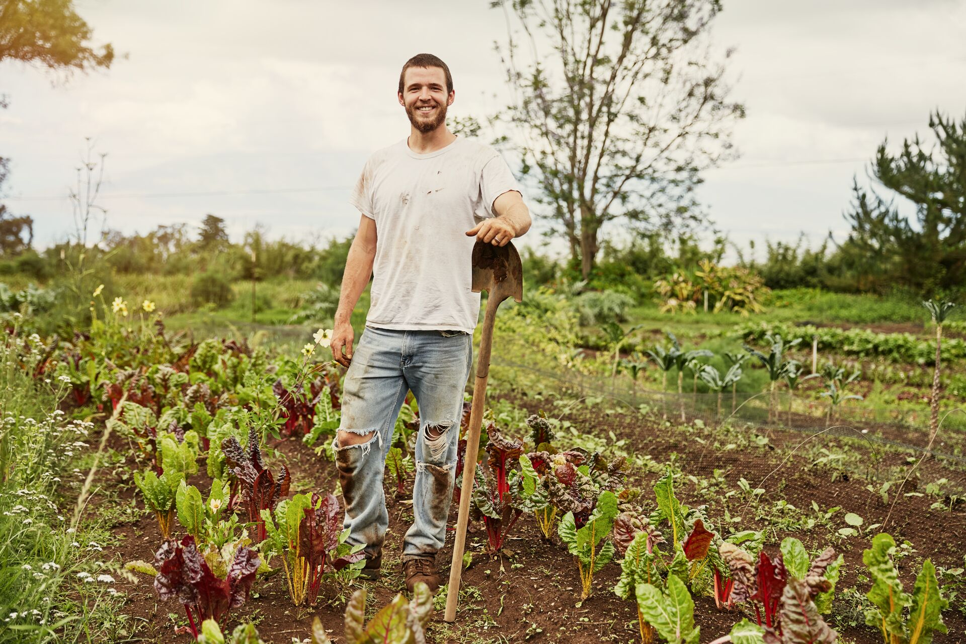 Smiling farmer standing on chard field in Hawaii 