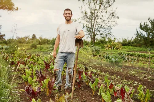 Smiling farmer standing on chard field in Hawaii