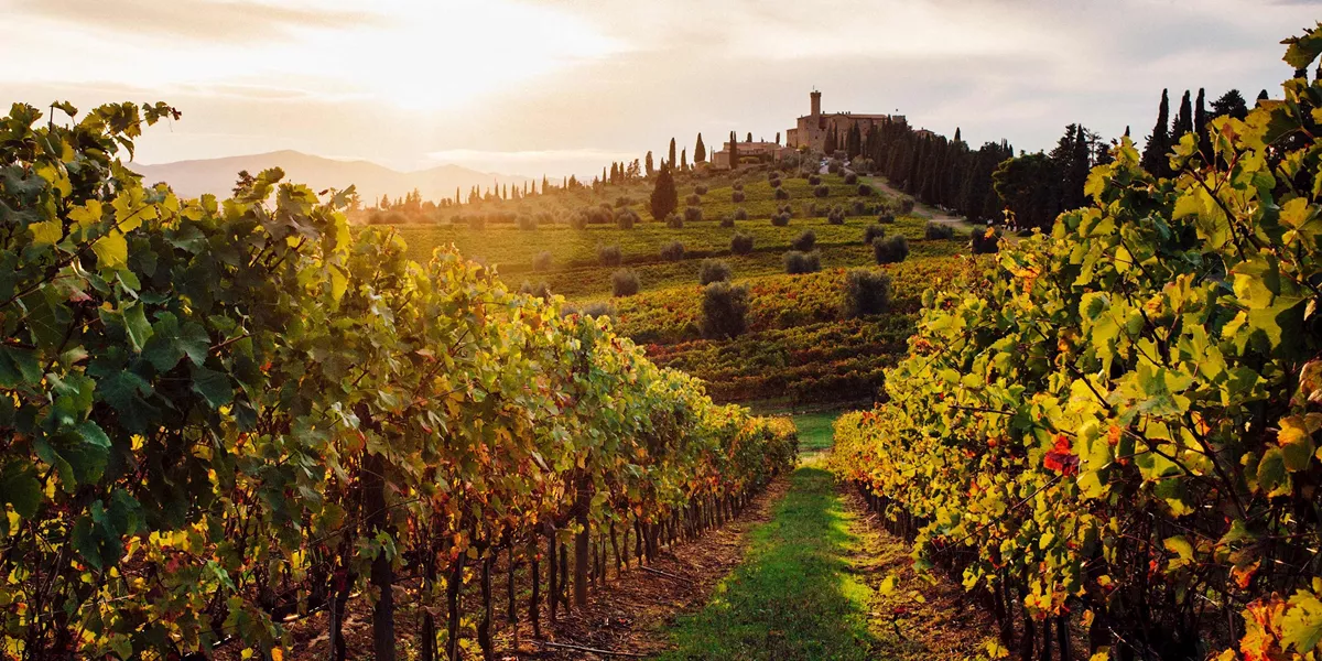 Rome and Tuscan Highlights Guided Tour