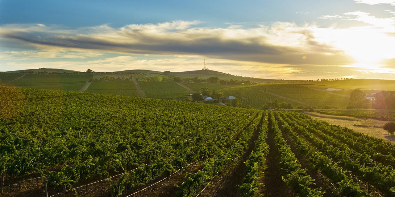 clare-valley-saep-day-1.jpg