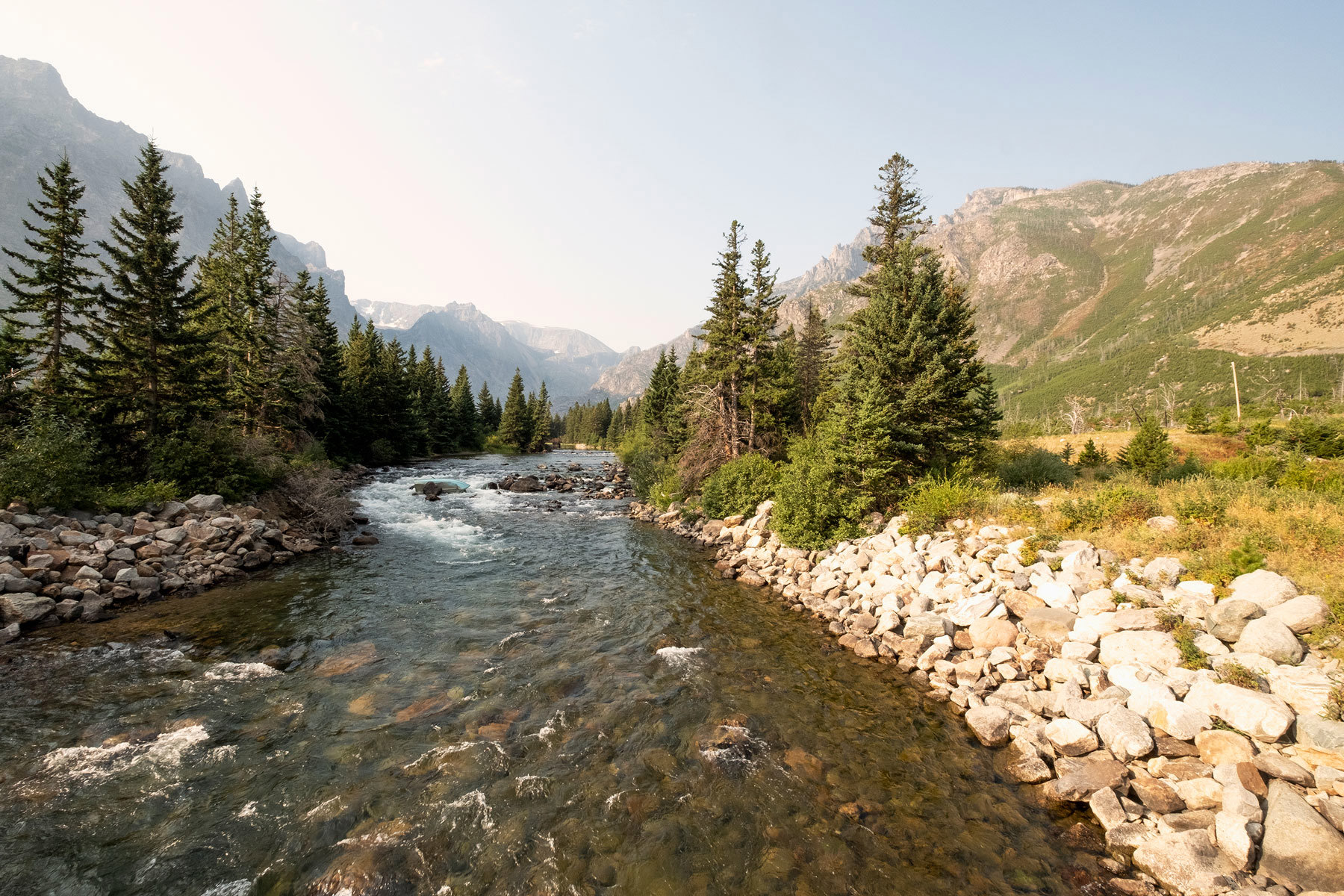 stream-and-pine-trees-montana-usa.jpg