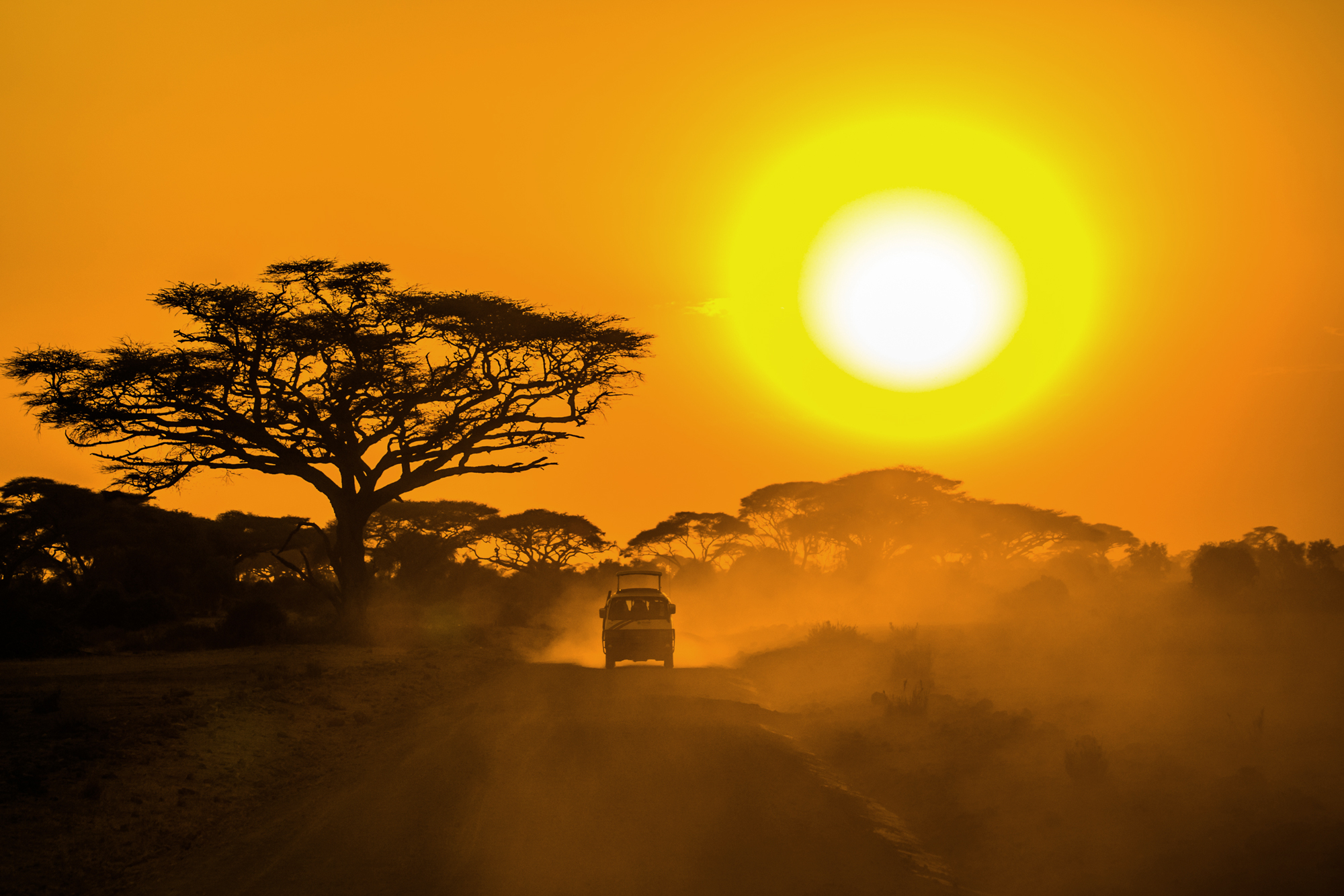 visit-aberdare-sanctuary-kenya.jpg