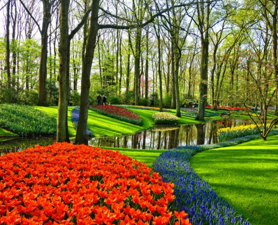 Blog Fun Facts Netherlands