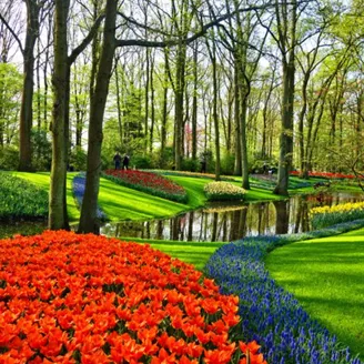 Blog Fun Facts Netherlands