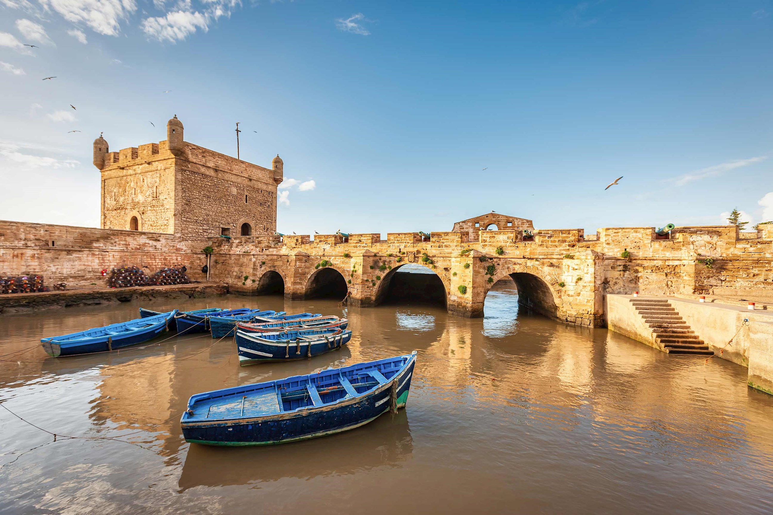 rowboats-harbour-essaouira-morocco.jpg