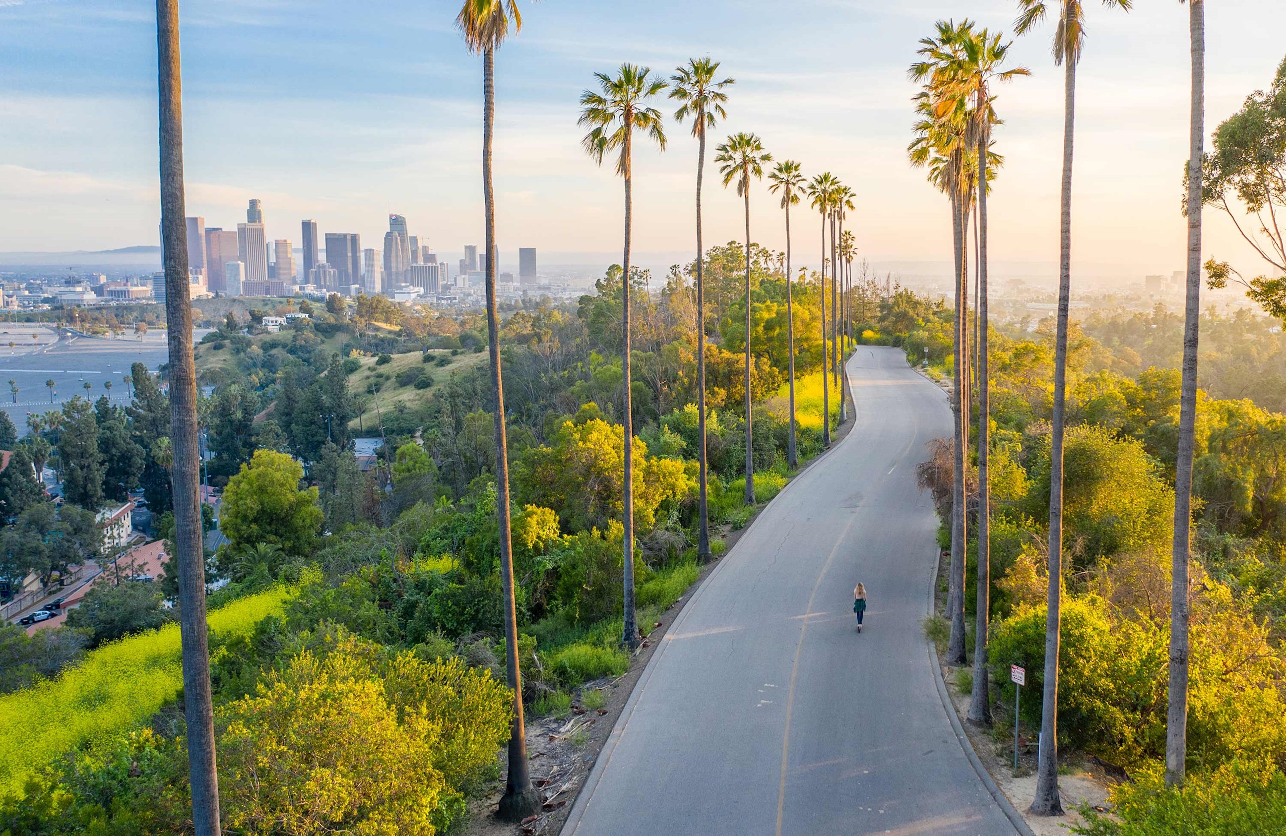 palm-trees-downtown-los-angeles-usa.jpg