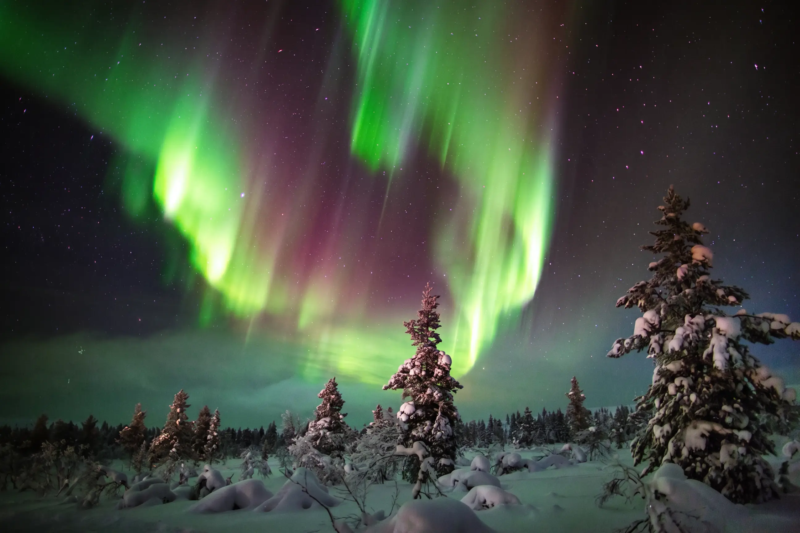 day-hero-aurora-borealis-ivalo-finland.webp