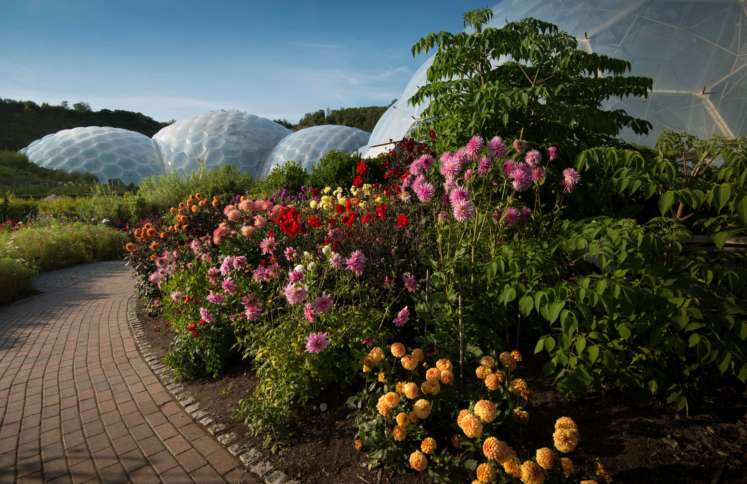 Eden Project visit,  Cornwall, England