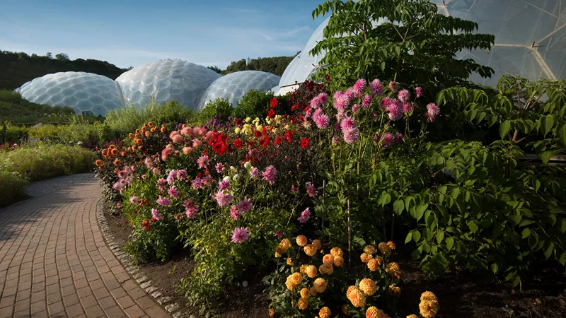 Eden Project visit, Cornwall, England