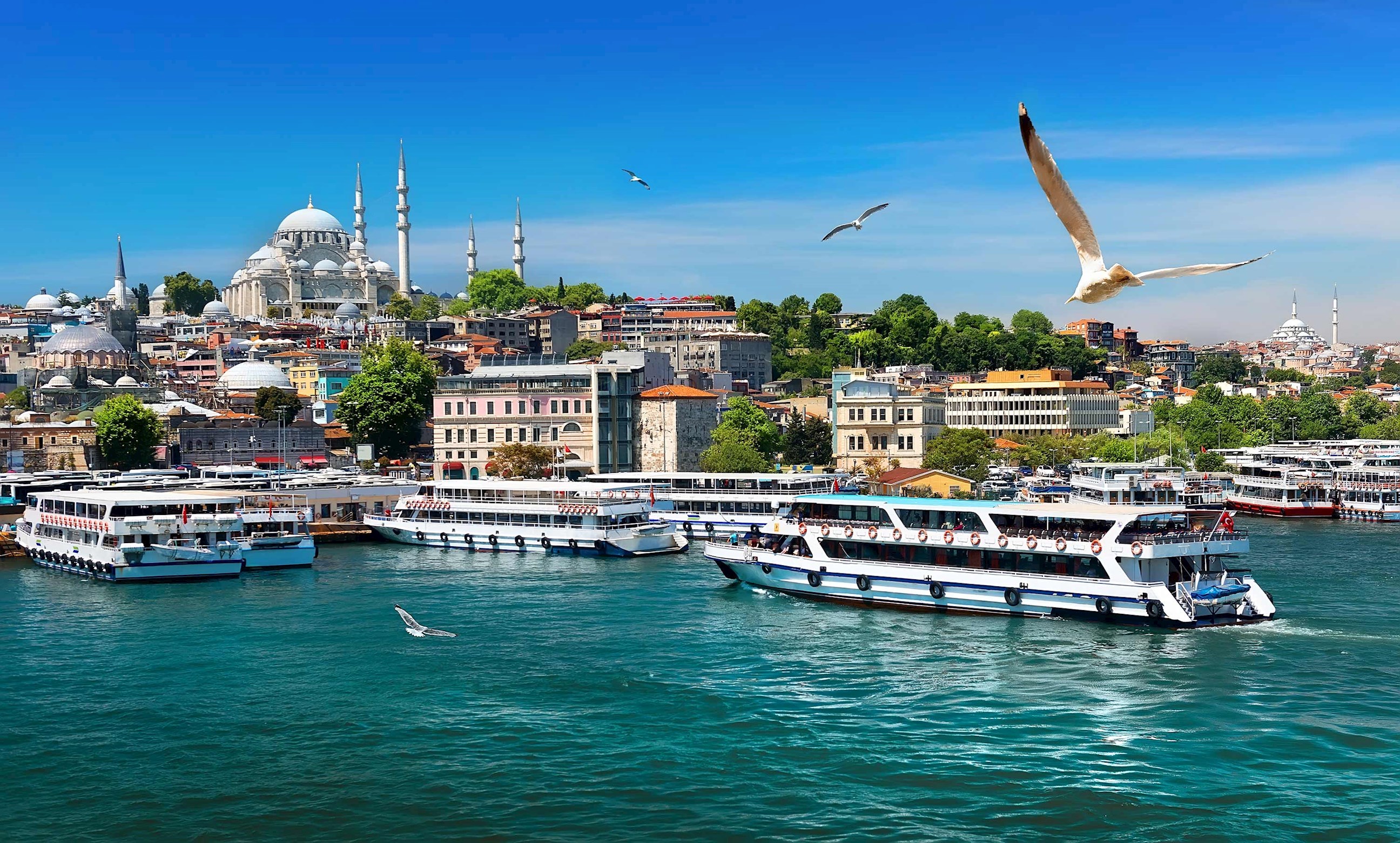 Ferries crossing Bosphorus with Süleymaniye Mosque and city skyline in Istanbul, Turkey