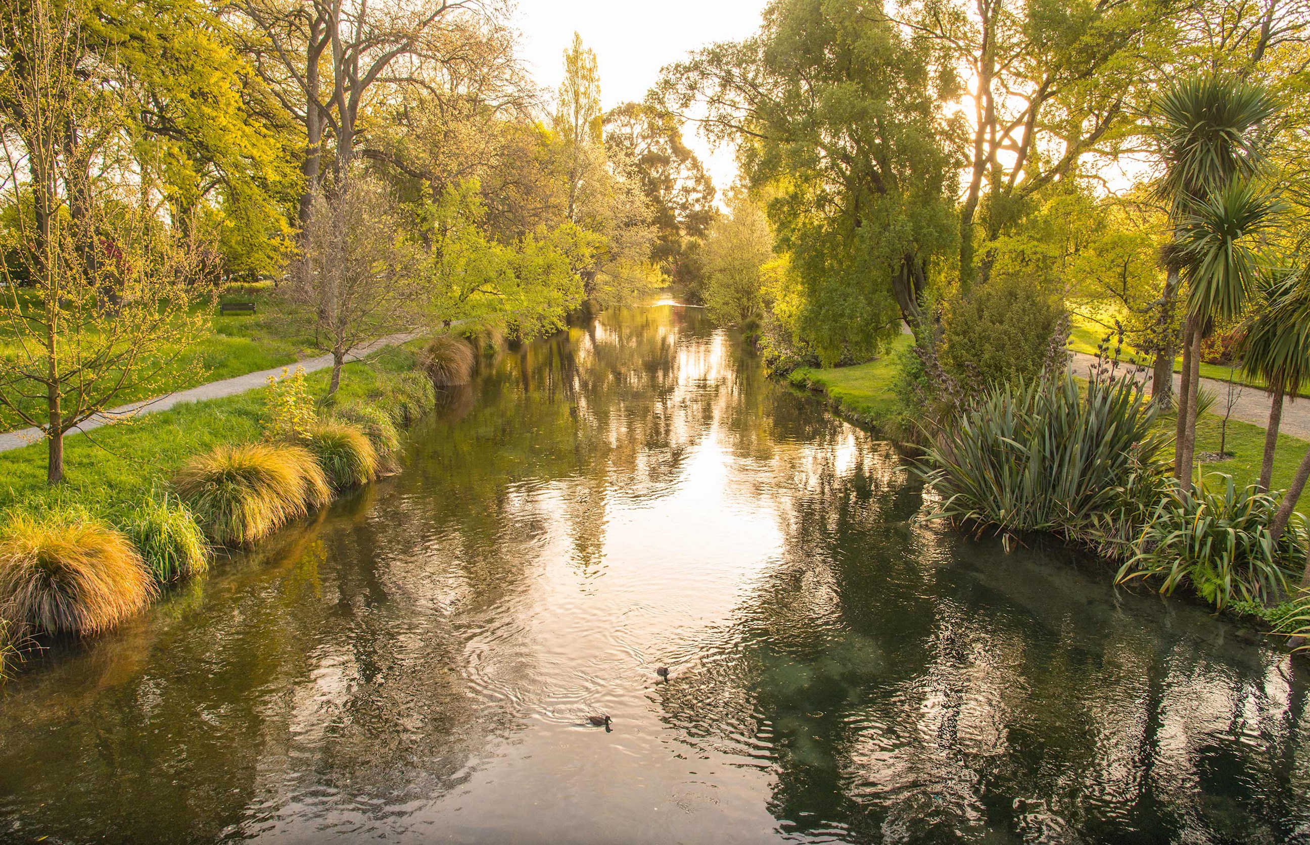 river-avon-christchurch-new-zealand.jpg