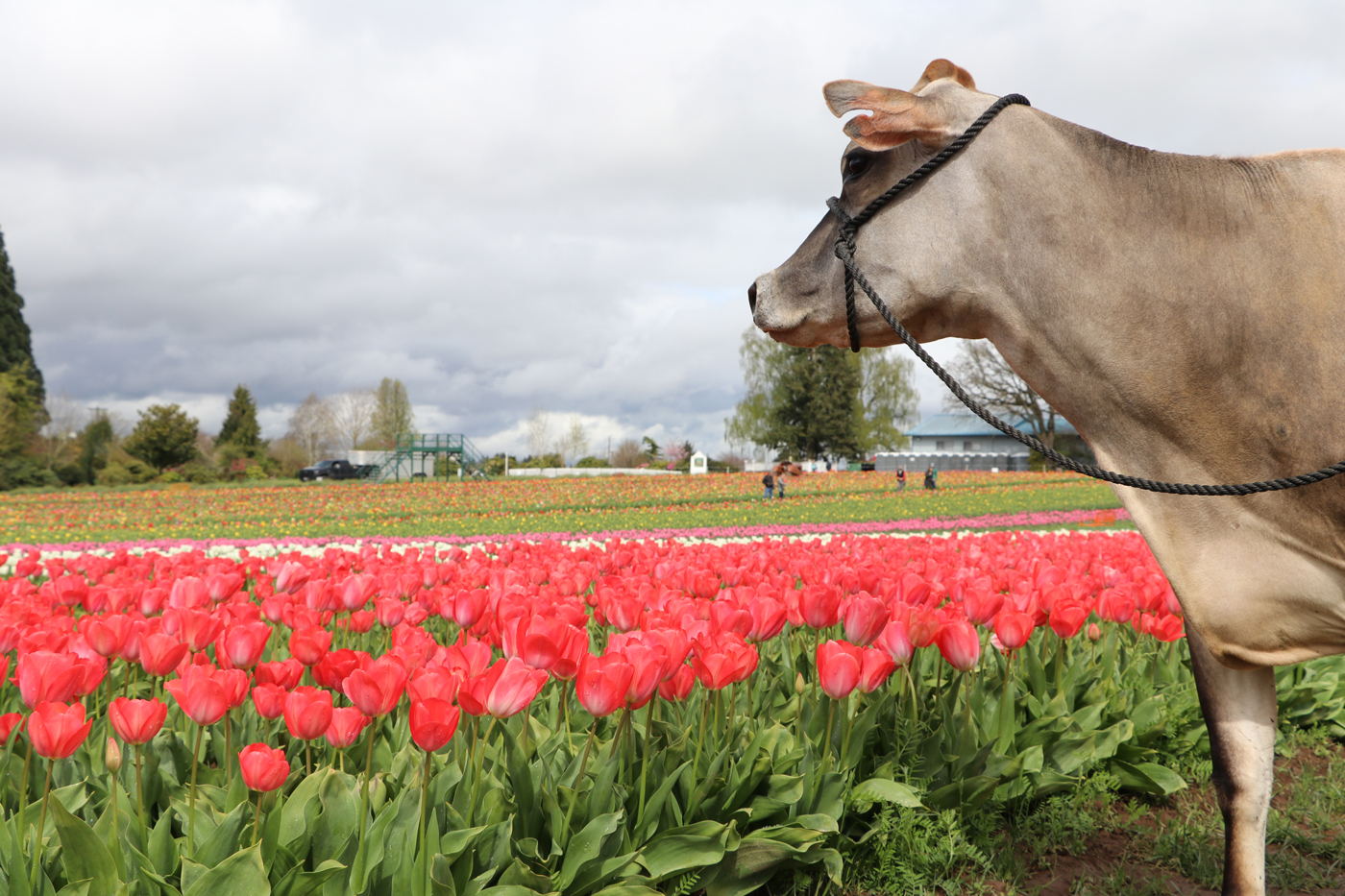 make-travel-matter-tmk-creamery-canby-oregon-usa.jpg