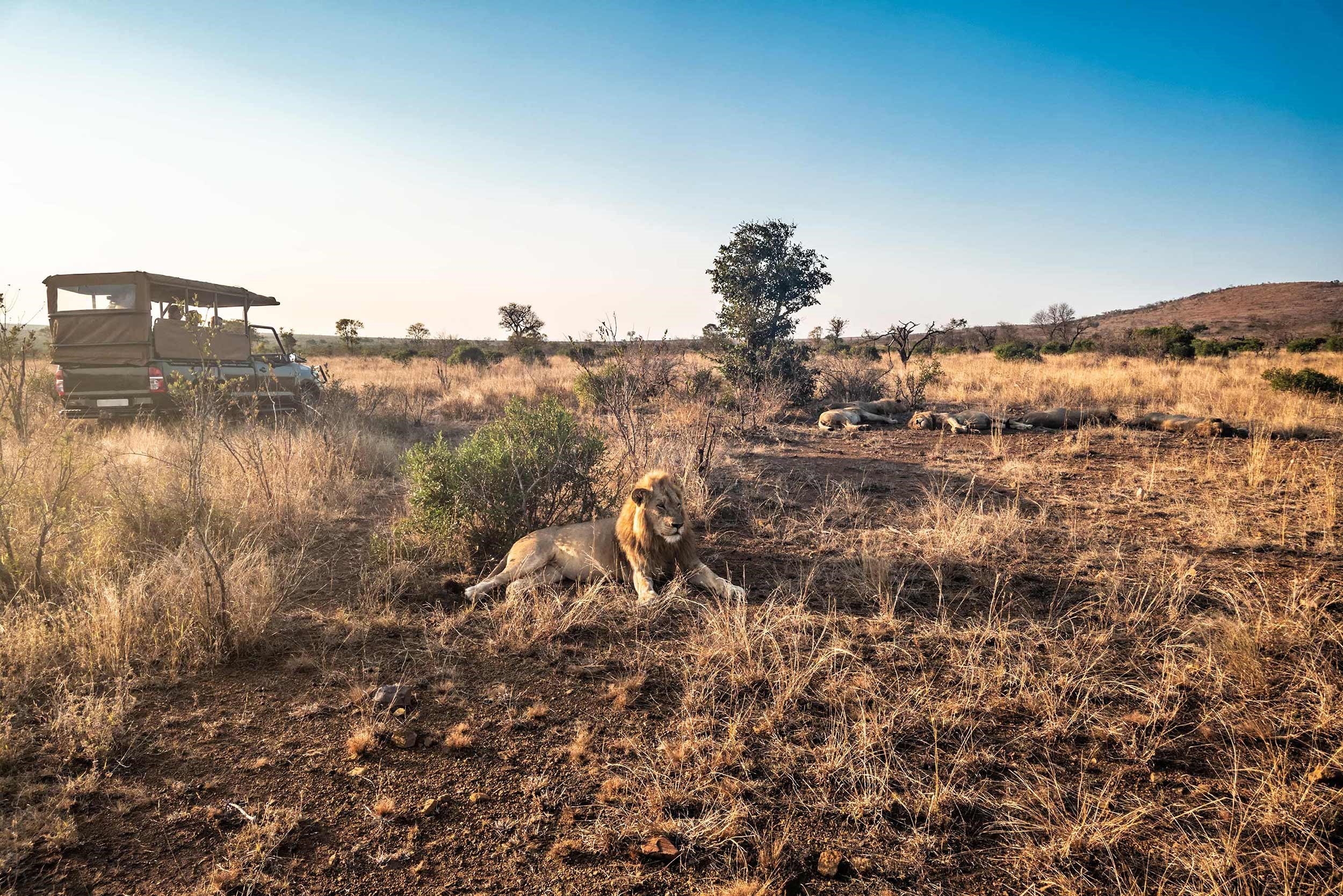 Best of South Africa Tour Flexible Bookings Trafalgar US