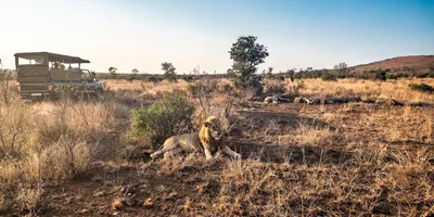 Best of South Africa Guided Tour