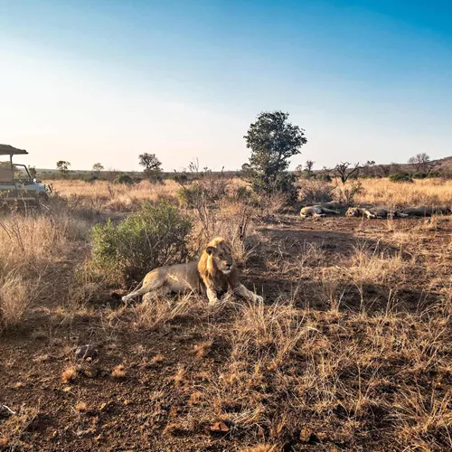Best of South Africa Guided Tour