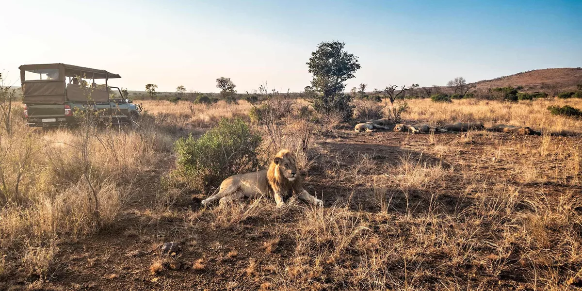 Best of South Africa Guided Tour