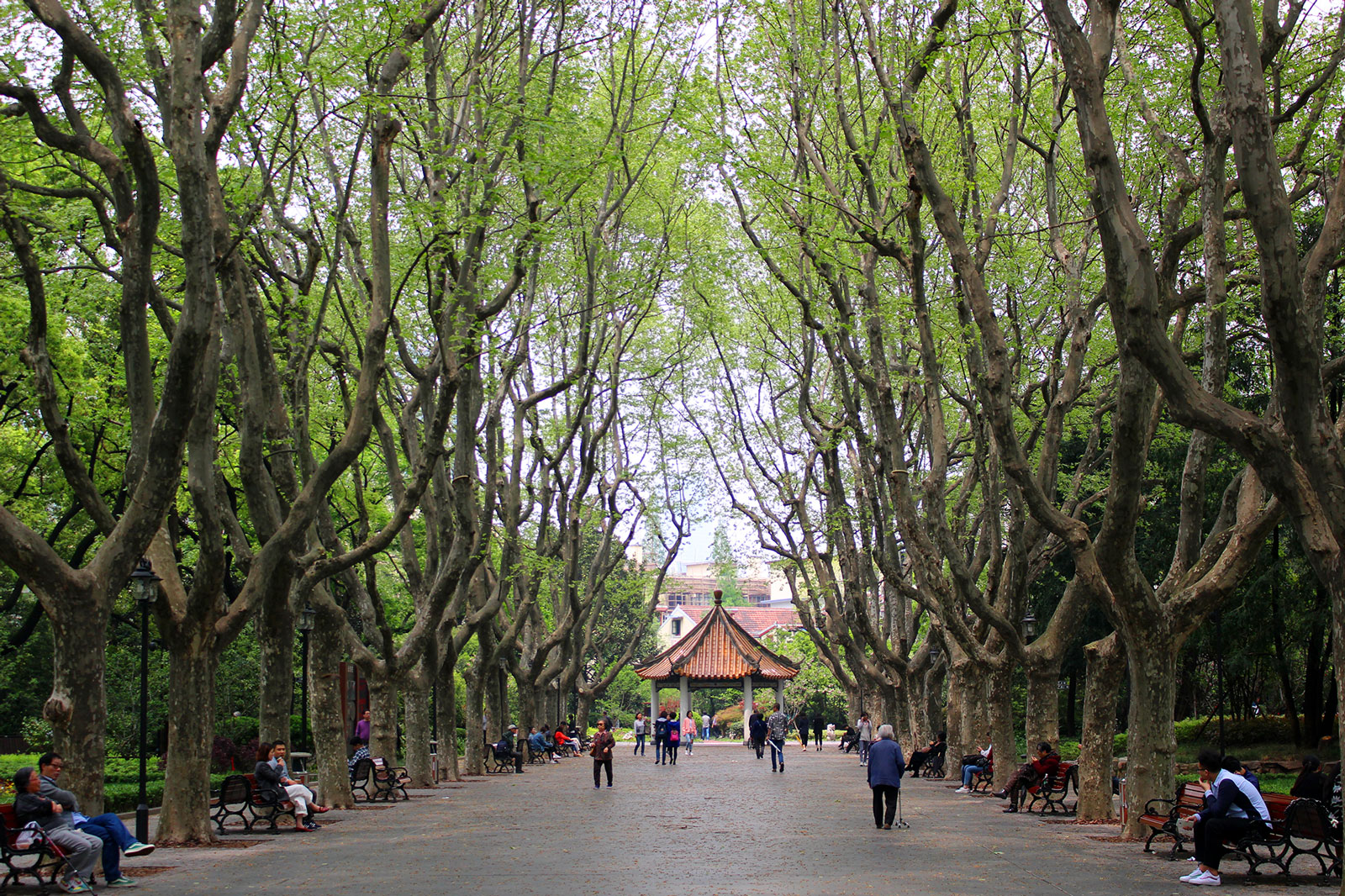 xiangyang-park-french-concession-shanghai-china.jpg