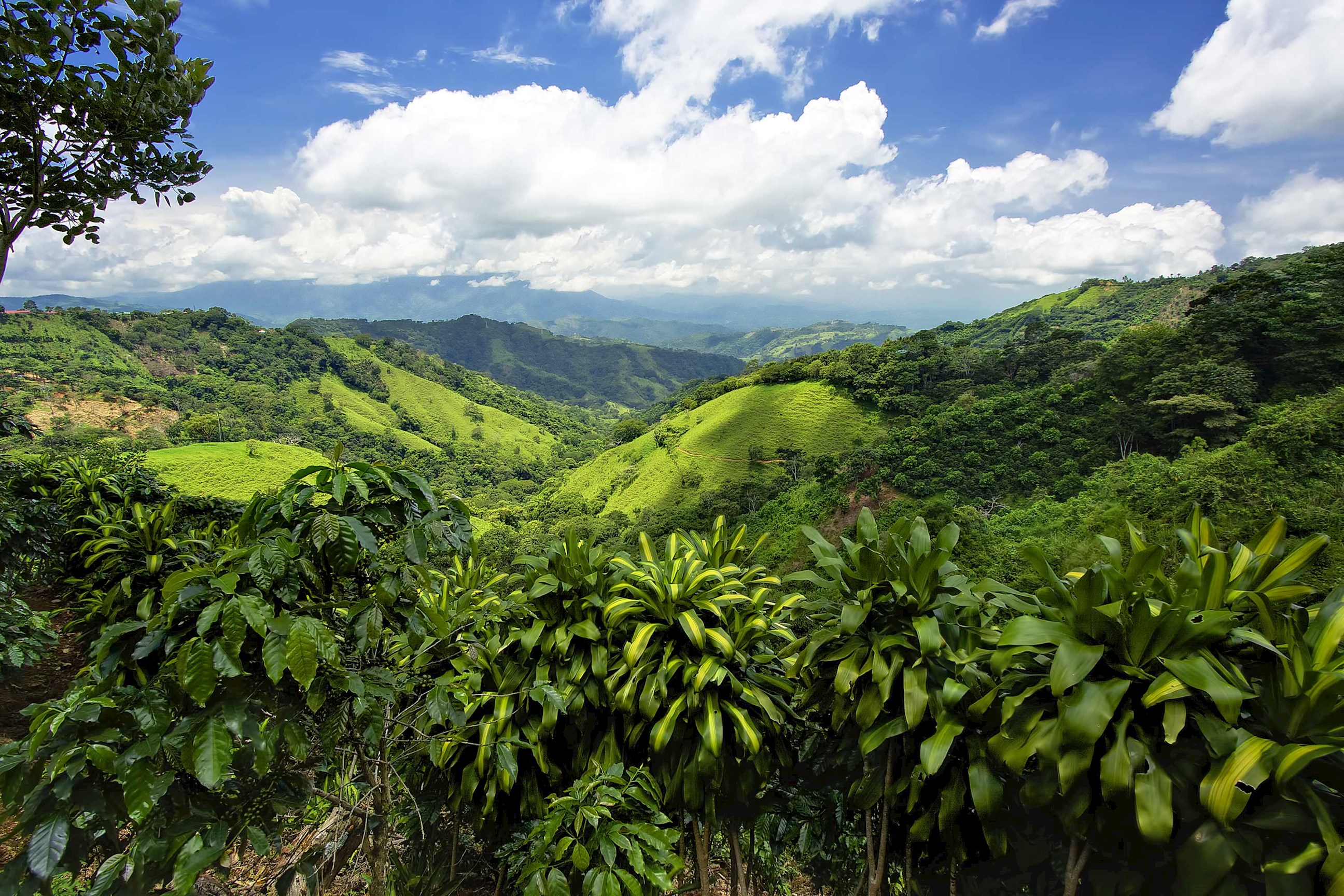 hilltop-mountain-san-jose-costa-rica.jpg