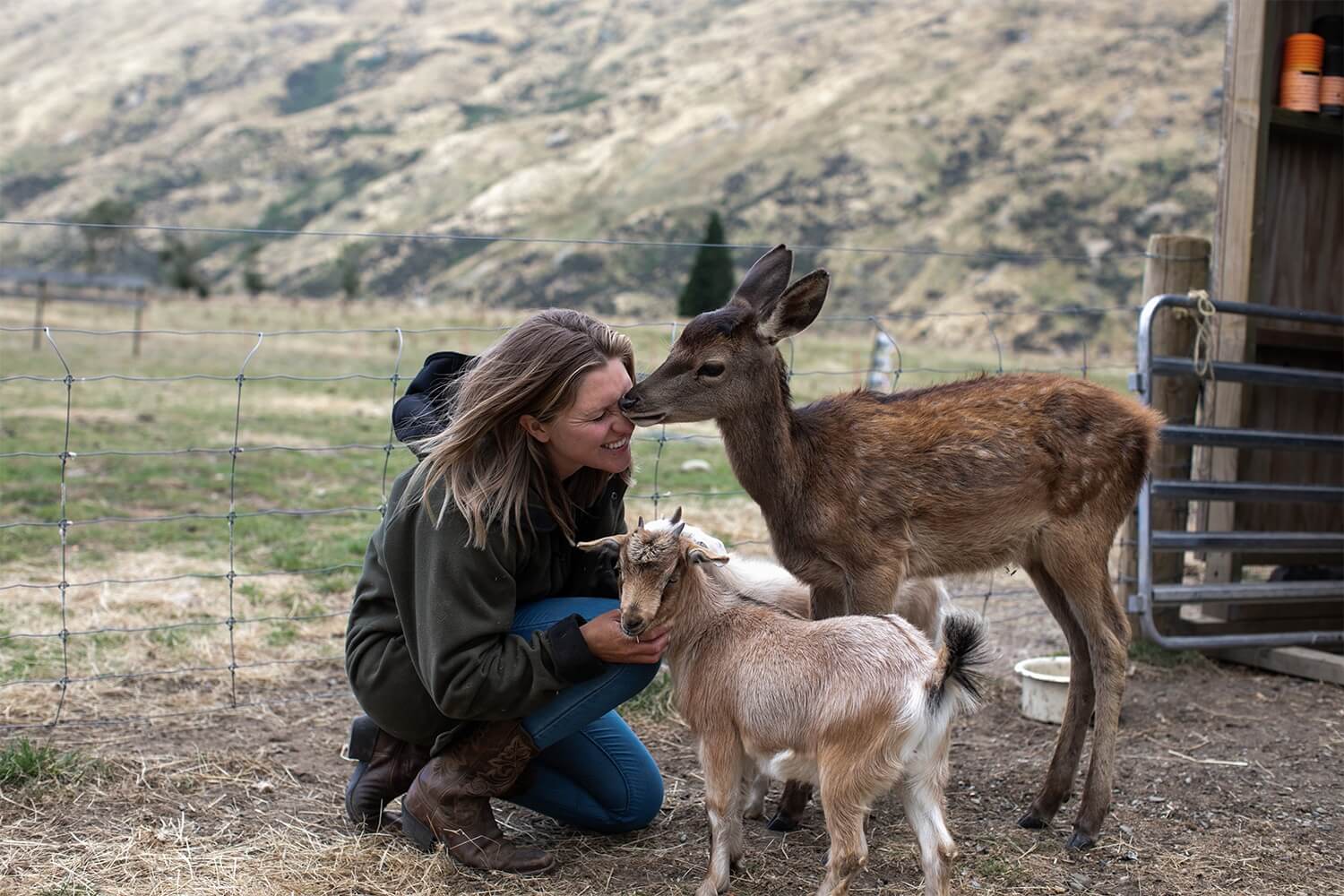 Woman petting animals on Farm Real Country in Queenstown, New Zealand