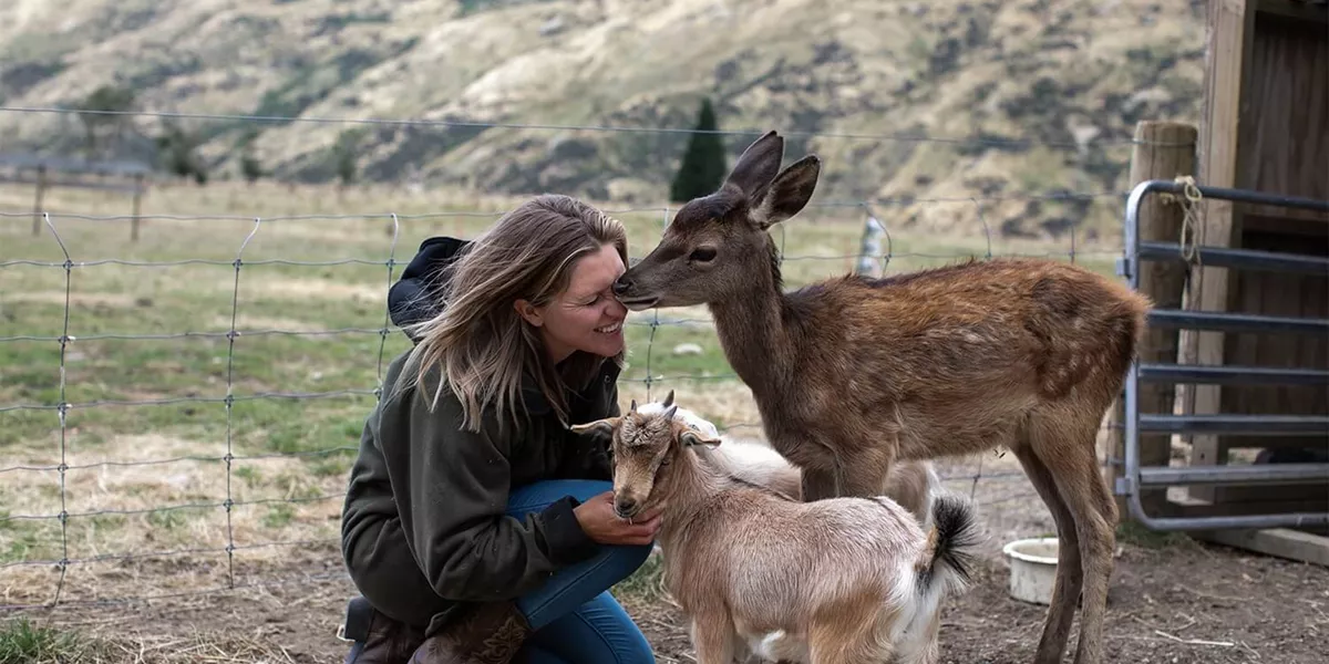 Woman petting animals on Farm Real Country in Queenstown, New Zealand