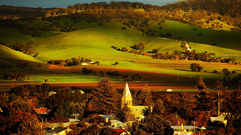 Tanunda – Credit: Tourism SA/Dragan Radocaj