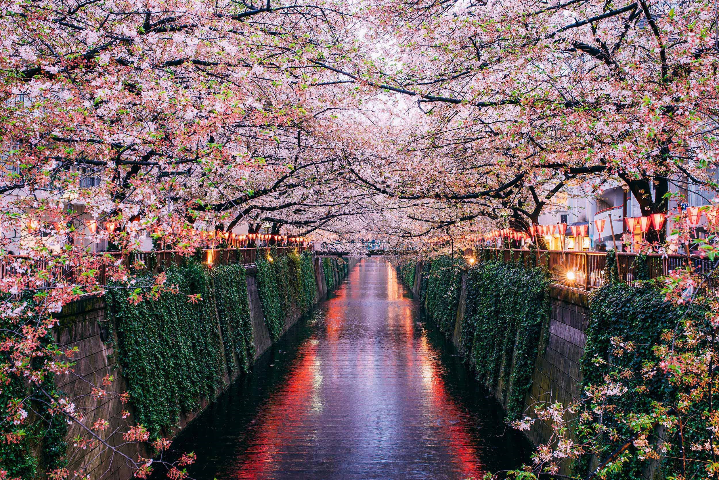 meguro-river-tokyo-japan.jpg