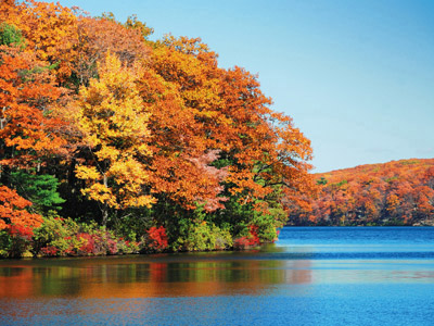 Trafalgar - Autumn colours of Vermont