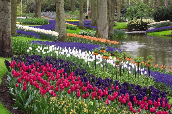 Springtime in Europe