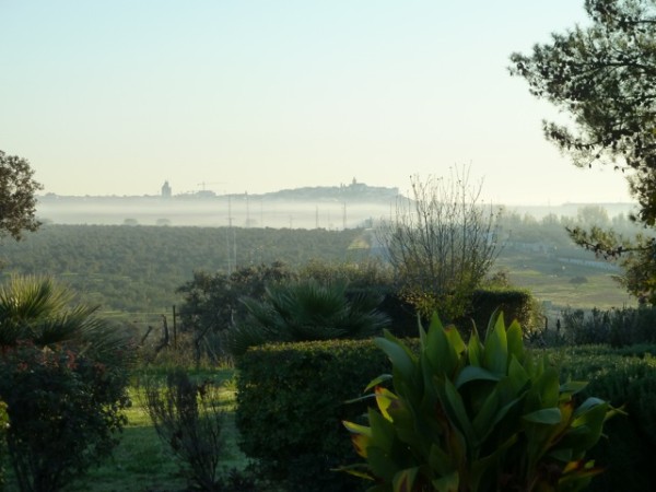 Be My Guest Dinner in Seville