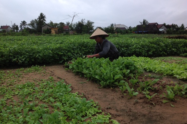 Be My Guest in Vietnam