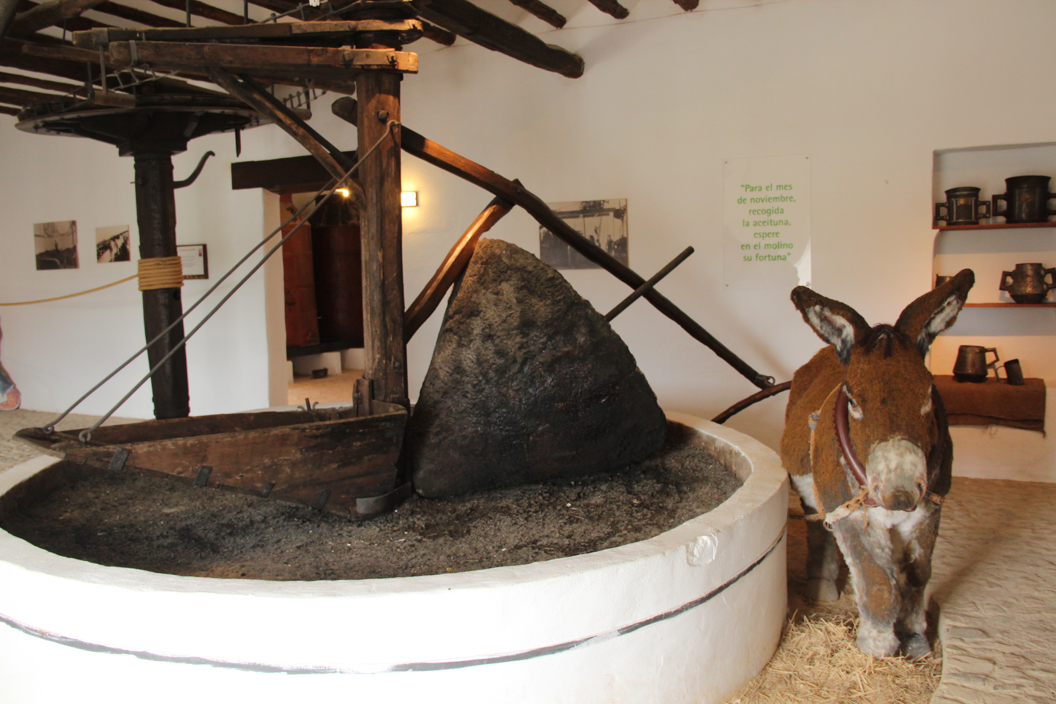 Baeza Olive Oil production