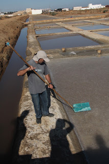 Flor de Sal of Necton