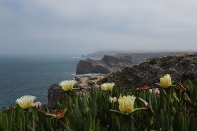 Cape St Vincent Cliffs