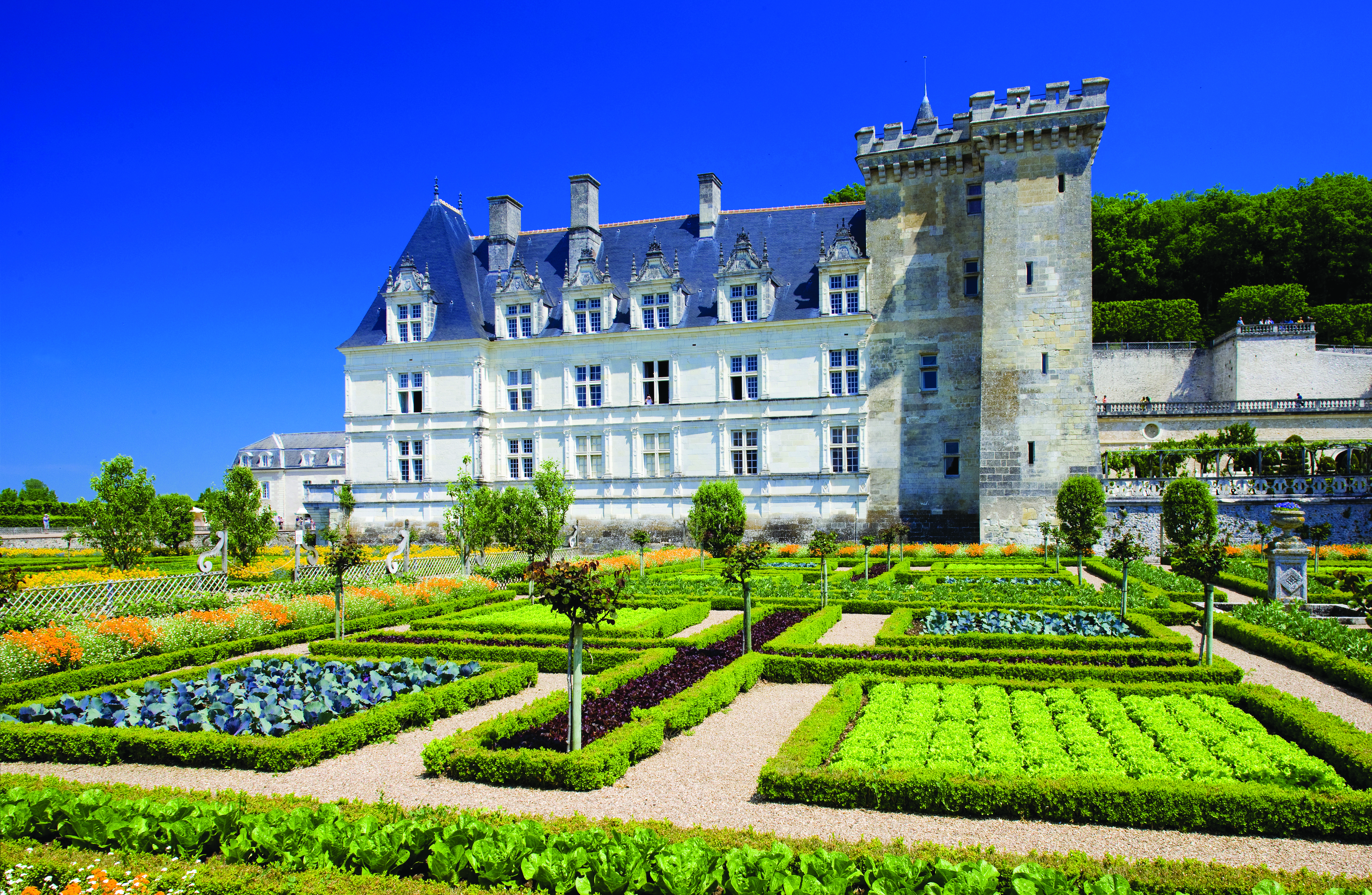 Villandry Castle Gardens