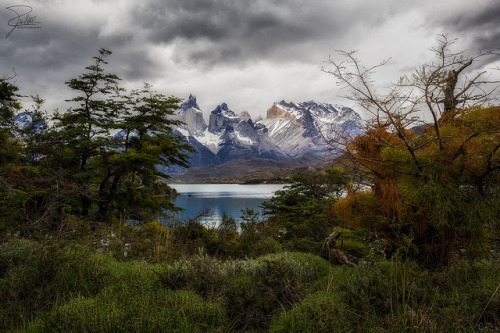 Torres del paine