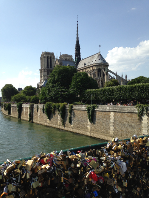 Notre Dame and love locks bridge, Paris