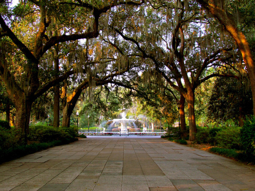A walkway through Savannah's Forsyth Park, lined with shady trees and a fountain.