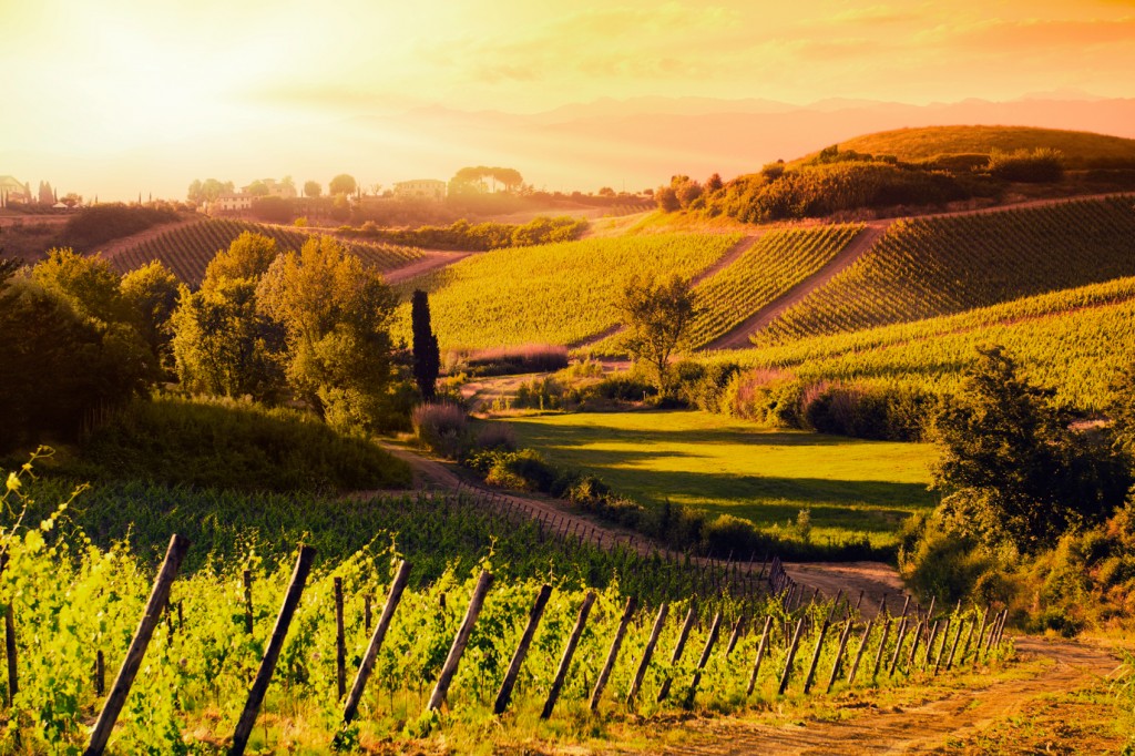 Hilltop Towns of Tuscany