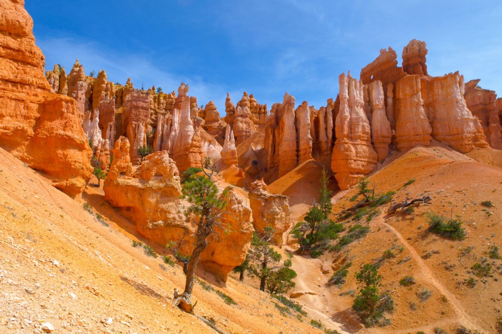 National Parks in America