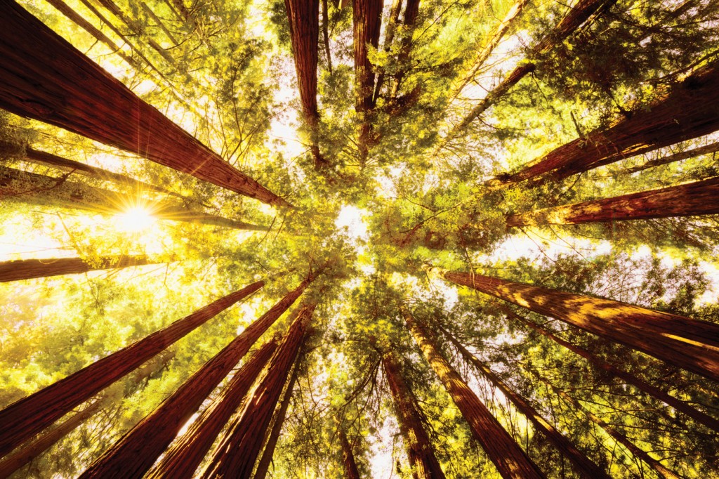 National Parks in America