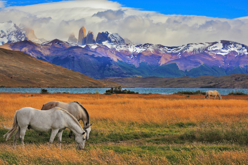 National Parks of Patagonia