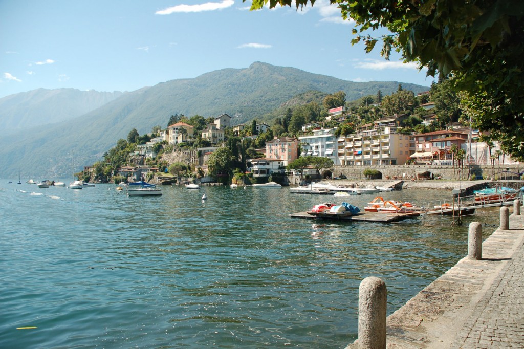 Vineyard in Switzerland