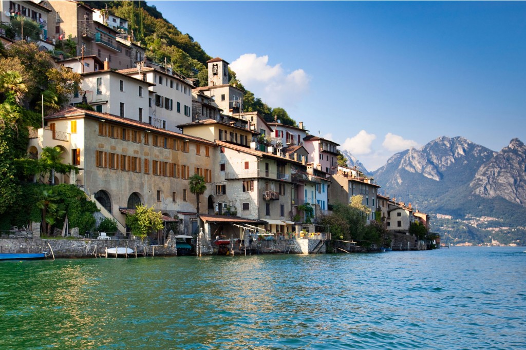 Vineyard in Switzerland
