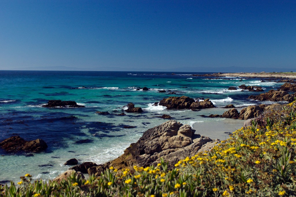 Ocean in Monterey, California. Great Destinations for Kids