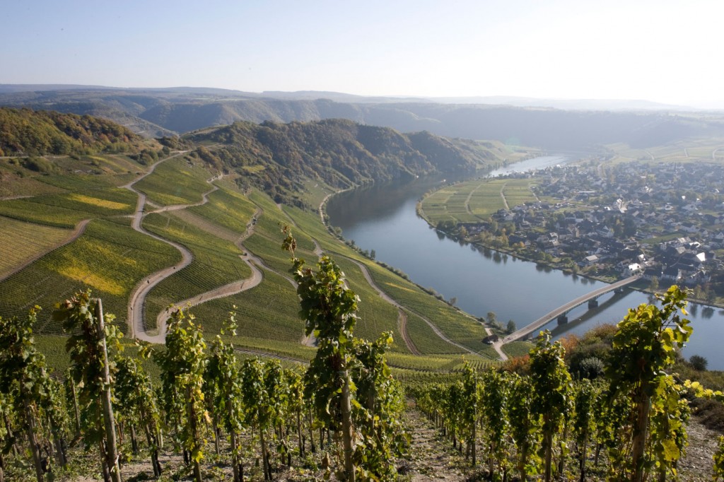 Rhine Valley